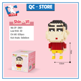 Shin V1